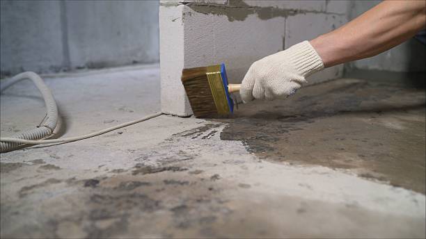 Top rated local Waterproofing specialists in Lawley, AL